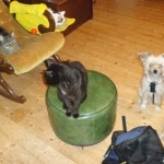 Gruppenbild _Slider