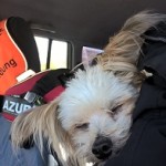 Müde_Slider